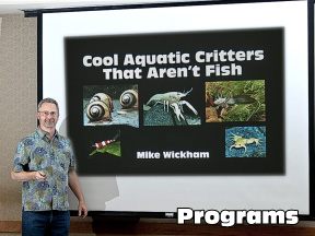 Mike Wickham Cool Critters Talk