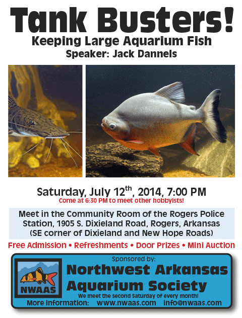July NWAAS: Tank Busters: Large Fish in the Aquarium