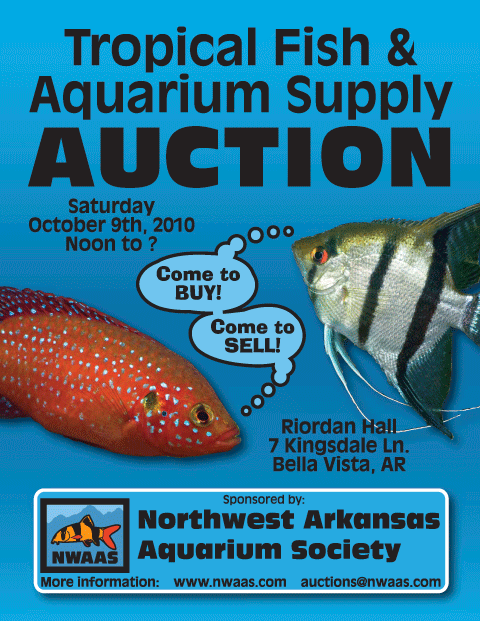 NWAAS_2010_fall_auction_poster.gif