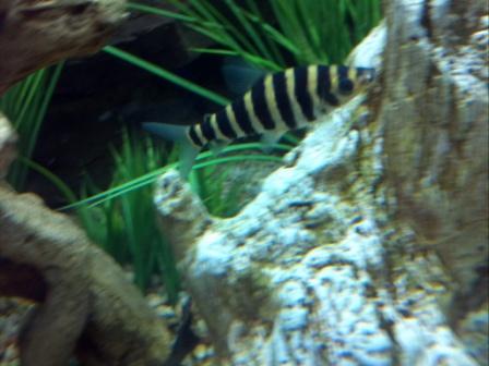 2012-08-29 21.43.47.jpg