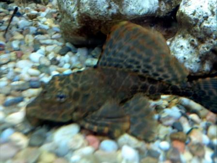 2012-08-29 21.42.31.jpg