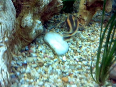 2012-08-29 21.42.23.jpg