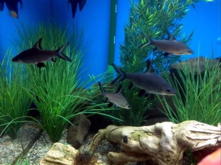 2012-08-31 21.05.08.jpg