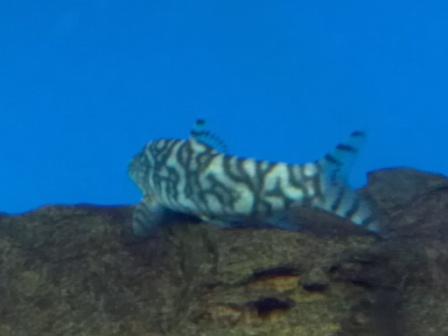 2012-08-31 21.07.58.jpg