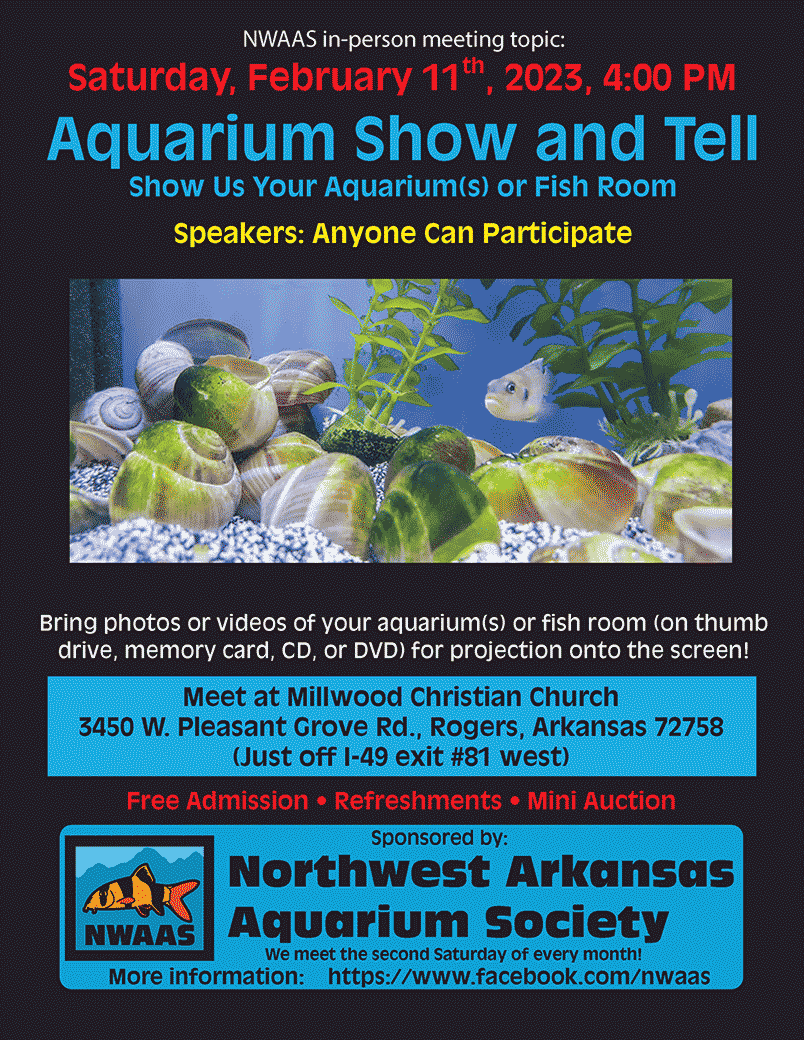 Aquarium_Show_and_Tell.gif