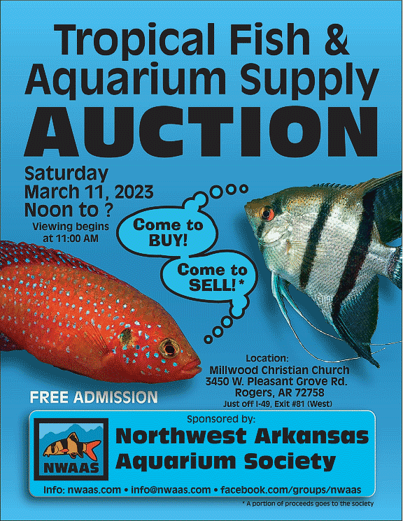 2023_NWAAS_spring_auction_poster_blue.gif