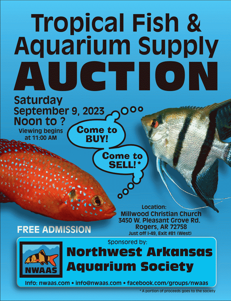 2023_NWAAS_fall_auction_poster_blue.png