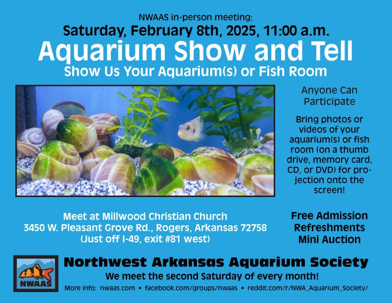 Aquarium_Show_and_Tell_2025.jpg