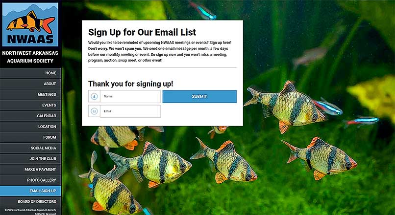 email-sign-up-page.jpg